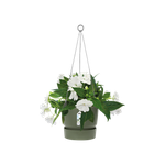 greenville hanging basket 24cm leaf green